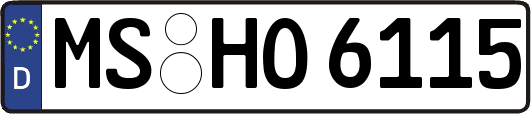 MS-HO6115