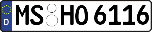 MS-HO6116