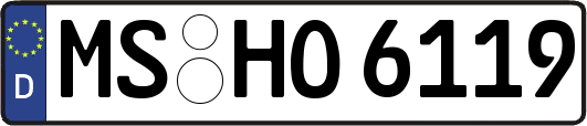 MS-HO6119