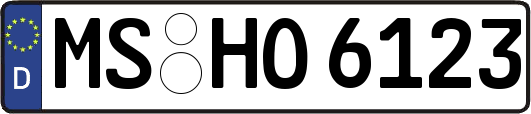 MS-HO6123