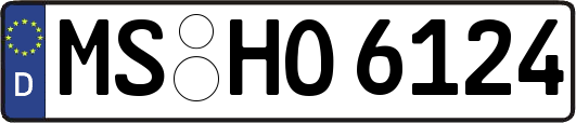 MS-HO6124
