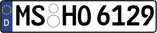 MS-HO6129