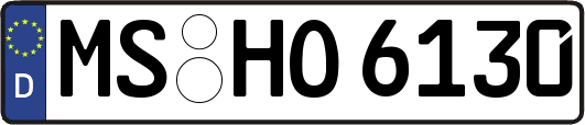 MS-HO6130