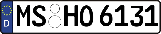 MS-HO6131
