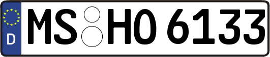 MS-HO6133