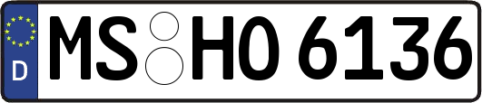 MS-HO6136