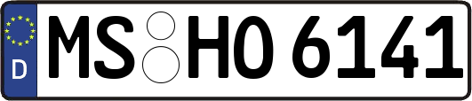 MS-HO6141