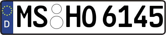 MS-HO6145