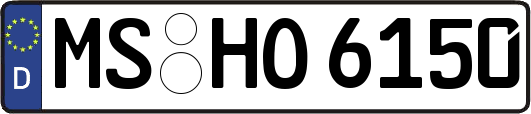 MS-HO6150