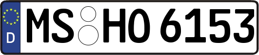 MS-HO6153