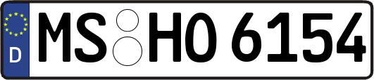 MS-HO6154