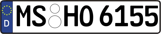 MS-HO6155