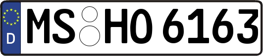 MS-HO6163