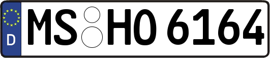 MS-HO6164