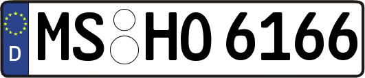 MS-HO6166