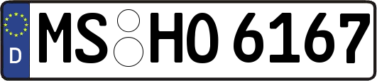 MS-HO6167