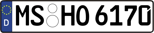MS-HO6170