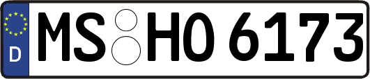 MS-HO6173