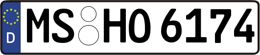 MS-HO6174