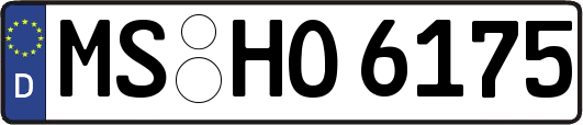 MS-HO6175