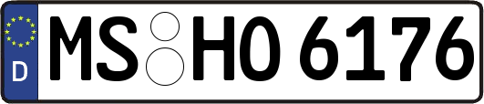 MS-HO6176
