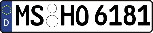 MS-HO6181