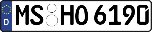 MS-HO6190