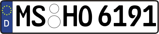 MS-HO6191