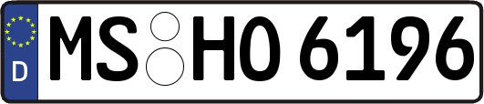 MS-HO6196