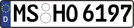 MS-HO6197