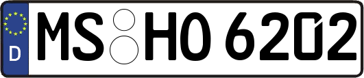 MS-HO6202