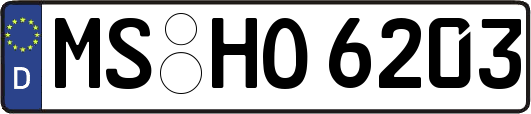 MS-HO6203