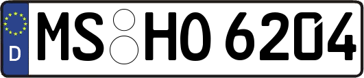 MS-HO6204