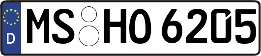 MS-HO6205
