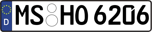 MS-HO6206