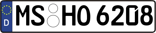 MS-HO6208