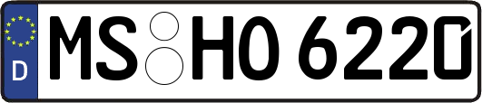 MS-HO6220