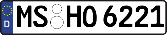 MS-HO6221