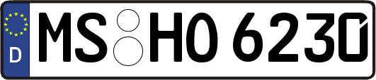 MS-HO6230