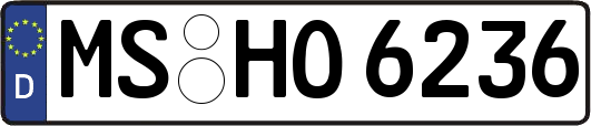 MS-HO6236