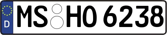 MS-HO6238
