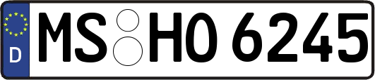 MS-HO6245