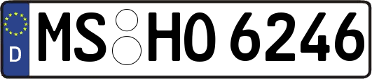 MS-HO6246