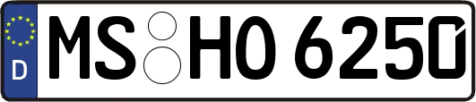 MS-HO6250