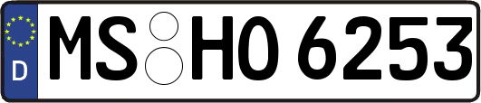 MS-HO6253