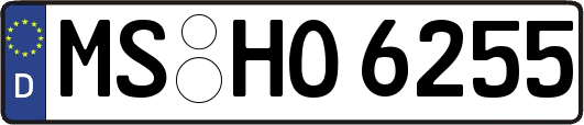 MS-HO6255