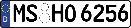 MS-HO6256