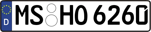 MS-HO6260