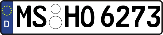 MS-HO6273