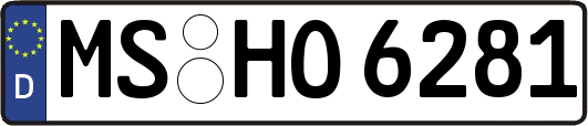 MS-HO6281